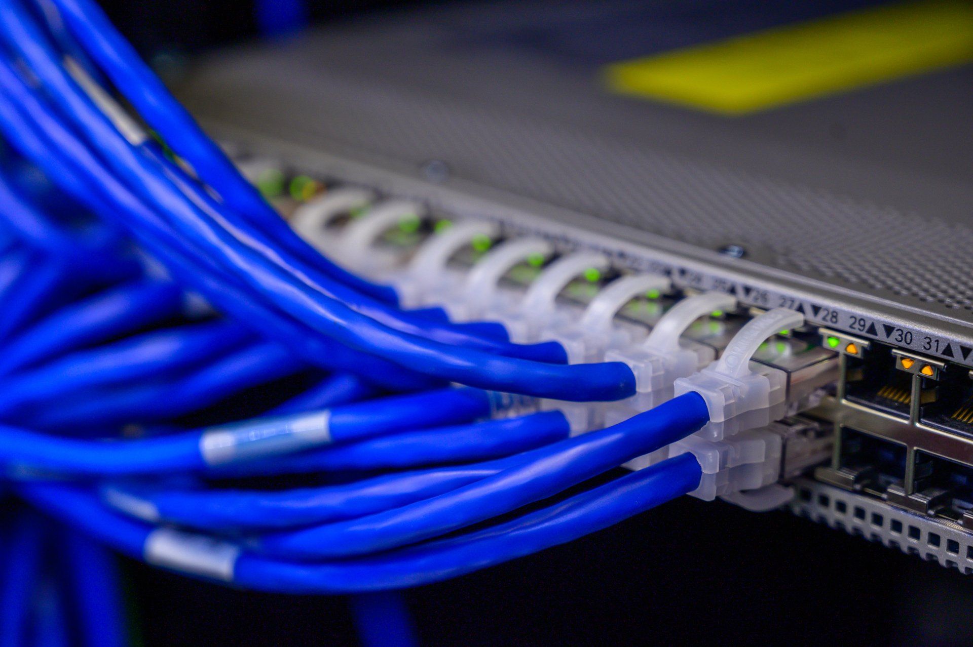 Blauwe netwerkkabels aangesloten op een switch in een serverkast